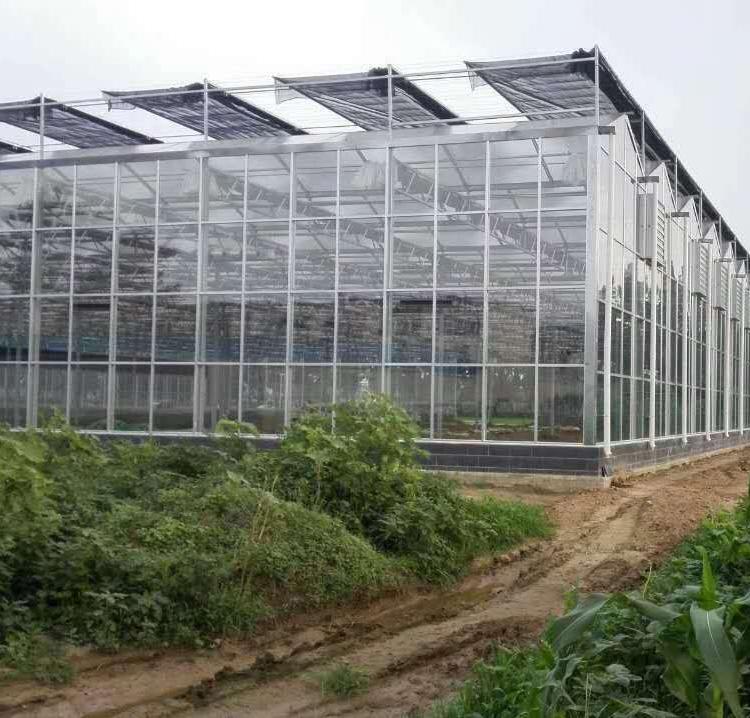 蔬菜大棚 连栋温室大棚 保温坚固连栋植物种植温室大棚 可定制热镀锌暖棚