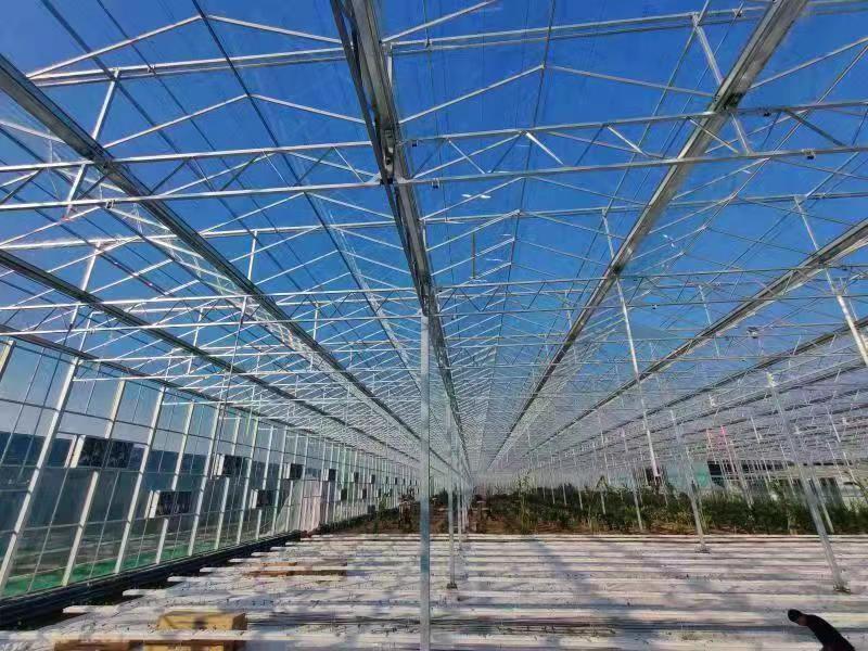 玻璃温室 连栋薄膜温室大棚 使用范围广