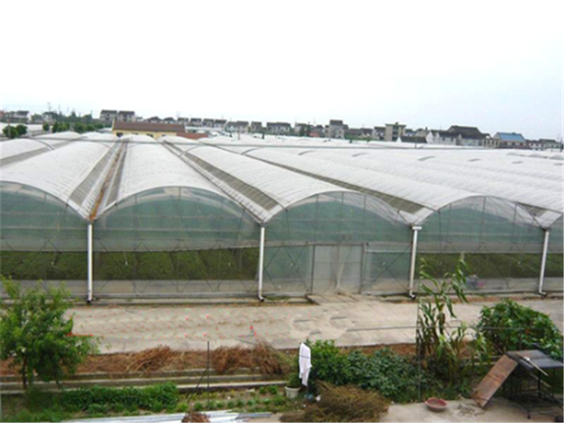 鑫秾冬暖式蔬菜大棚 日光温室 防锈蚀性能好