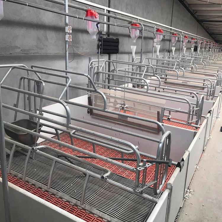 德州自动化养猪用耐酸碱喂料线,正茂塞盘料线