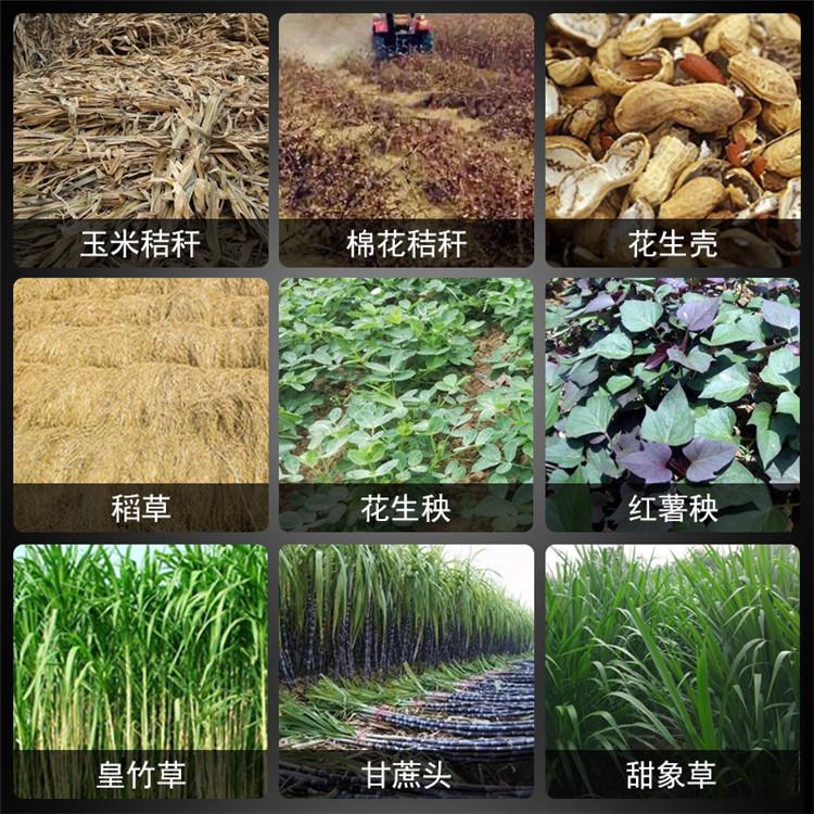 电动青草切草机   批发多功能揉丝机   牛羊养殖畜牧切草机
