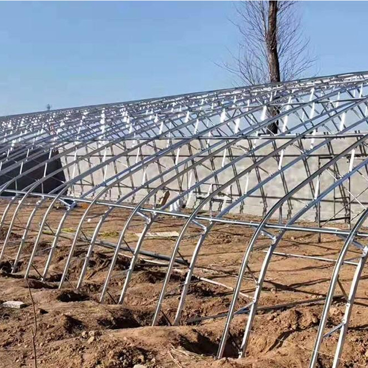 农业种植大棚 日光温室大棚 连栋温室大棚 价格优惠 欢迎订购