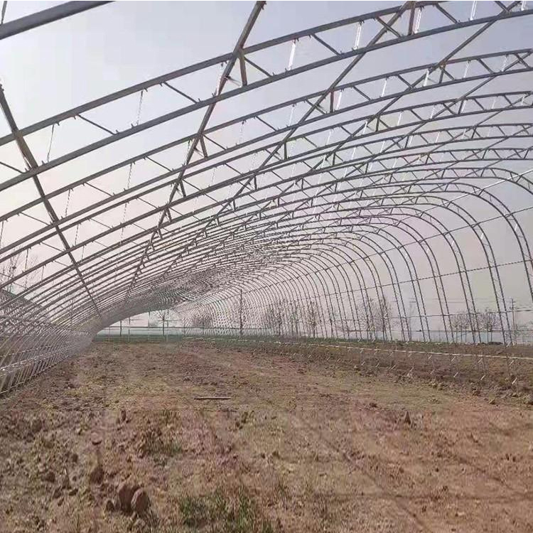 建伟供应连栋温室大棚 花卉果蔬透光大棚 温室大棚养殖大棚 欢迎订购