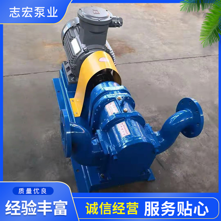 厂家供应凸轮泵 加工制造污泥凸轮泵 种类多样旋转活塞泵 质量优良