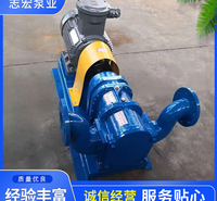 厂家供应凸轮泵 加工制造污泥凸轮泵 种类多样旋转活塞泵 质量优良