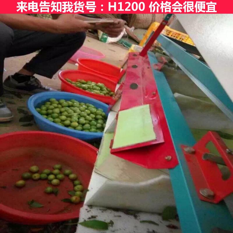 慧采电子选果机 花生选果机 小型选果机货号H1200