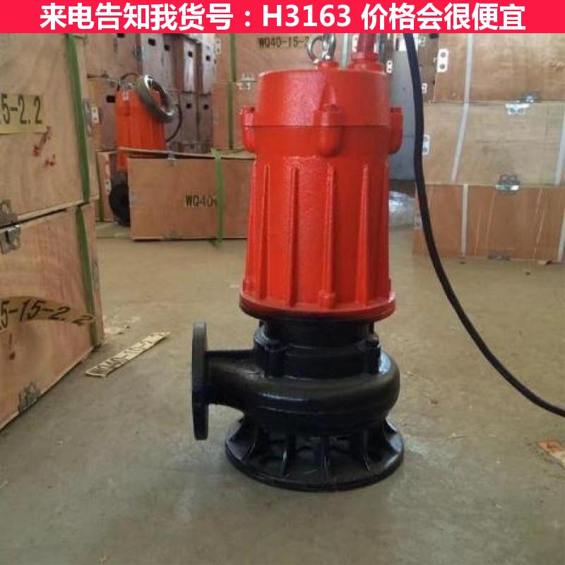 德科防爆排污泵 潜水式排污泵 潜水无堵塞排污泵货号H3163