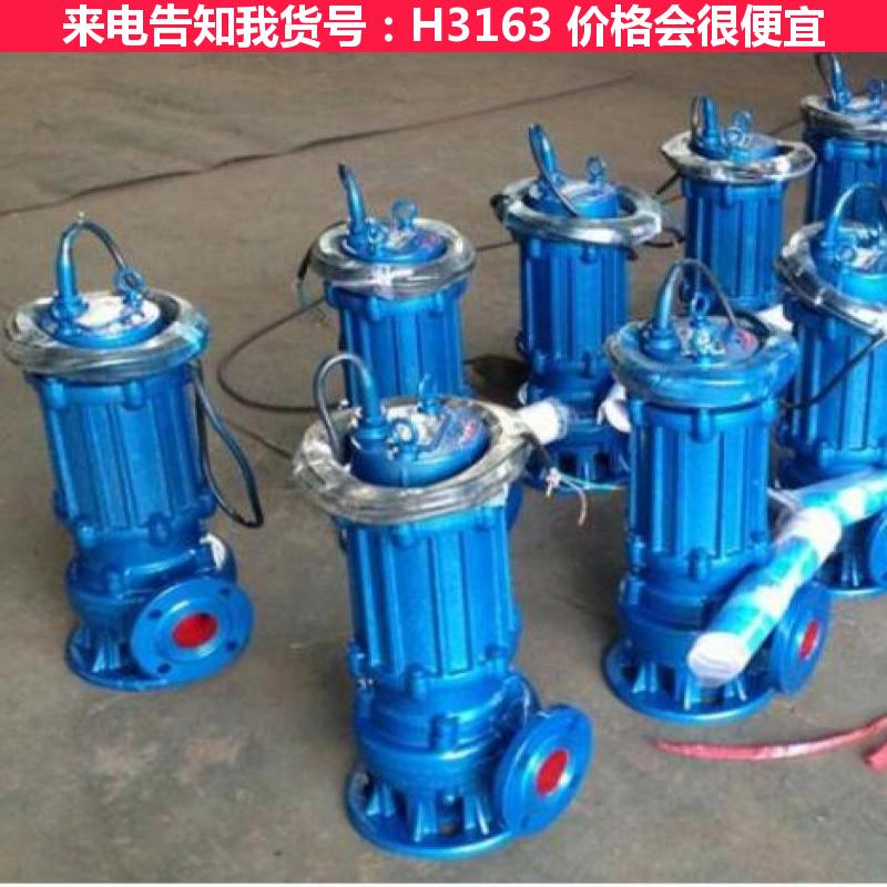 德科潜水泵与污水泵 耐腐蚀潜水污水泵 大型潜水排污泵货号H3163