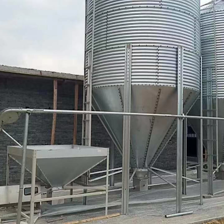 育肥猪料线厂家直售 恒善 猪舍喂料线厂家报价 