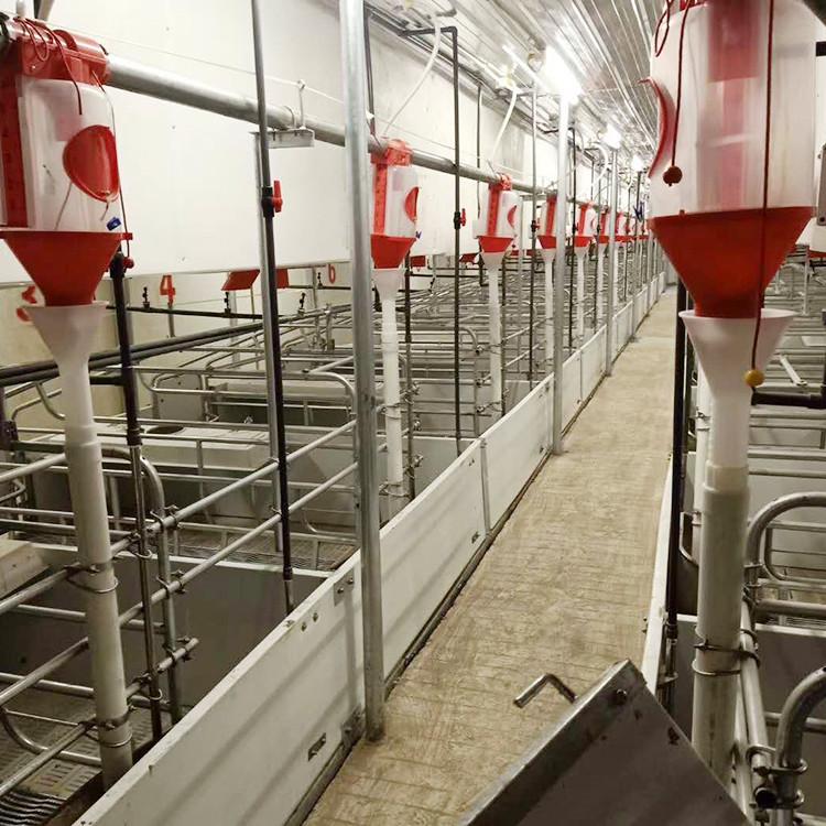 加工定制养殖料线,自动化喂猪料线养殖料线