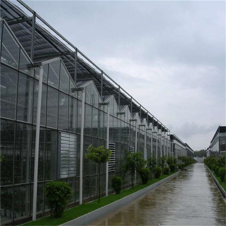 种植玻璃温室 玻璃温室造价 山东玻璃温室大棚