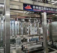 鲁泰LTZX系列多功能全自动装箱机 鲁泰落差式塑料瓶、金属罐头装箱机械 生产厂家