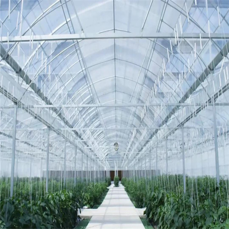 薄膜智能温室大棚 蔬菜薄膜建造 承接薄膜温室工程