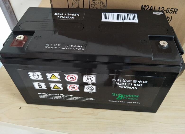 施耐德梅兰日兰蓄电池M2AL12-65R 12V65AH UPS电源直流屏消防应急