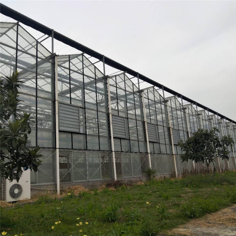 温室大棚建造订购-蔬菜温室大棚-山东山水合