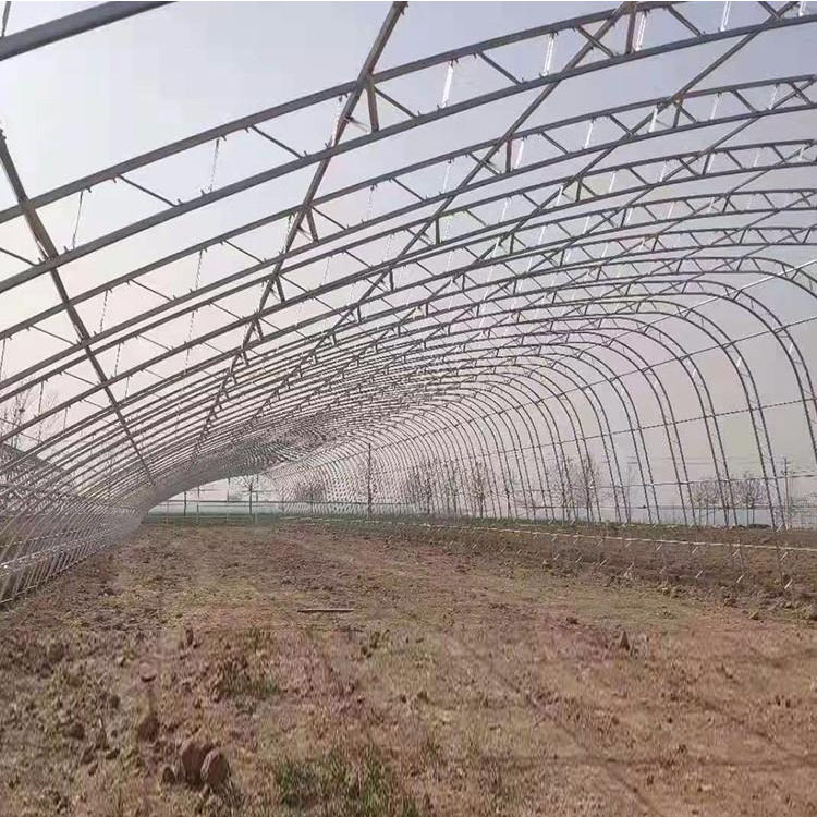 厂家出售 温室大棚 日光温室大棚 花卉果蔬透光大棚 价格称心