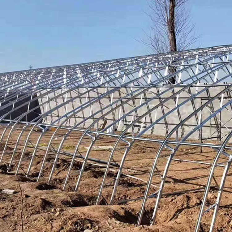 建伟供应 连栋大棚 温室大棚 连栋温室大棚 价格合理