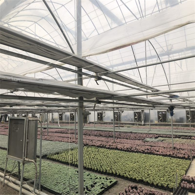 全国温室大棚定制型号-蔬菜苗木温室工程-山水合