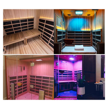 Jacuzzi INFRARED SAUNAS 标准桑拿房