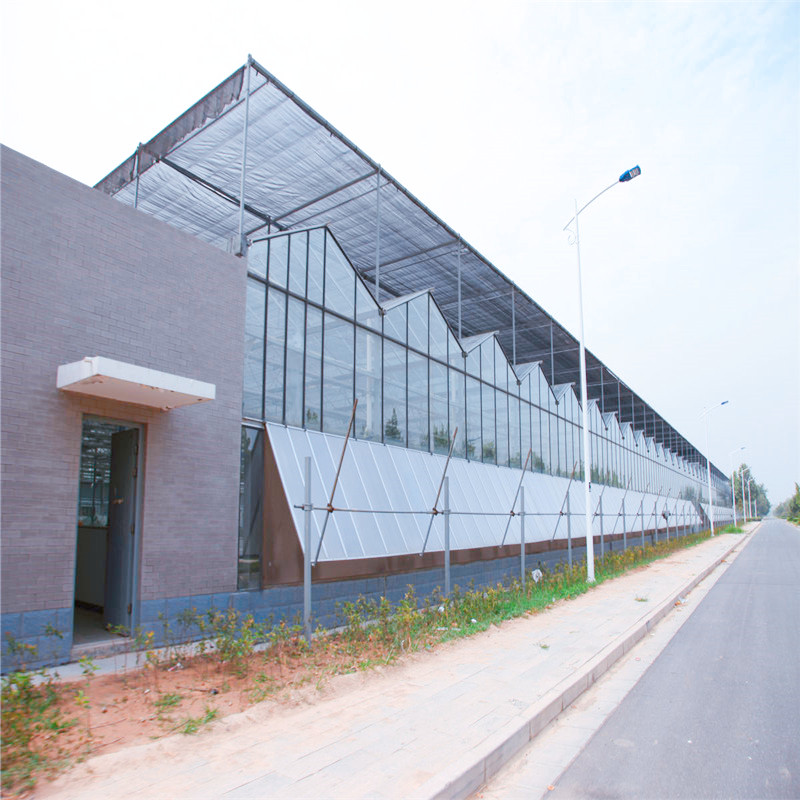 福建福州生态温室 供应观光餐厅温室棚青州大型连栋玻璃温室厂家直供
