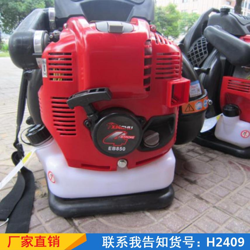 宏胜背负式吹雪机 汽油大功率灭火机 工地eb850吹风机货号H2409
