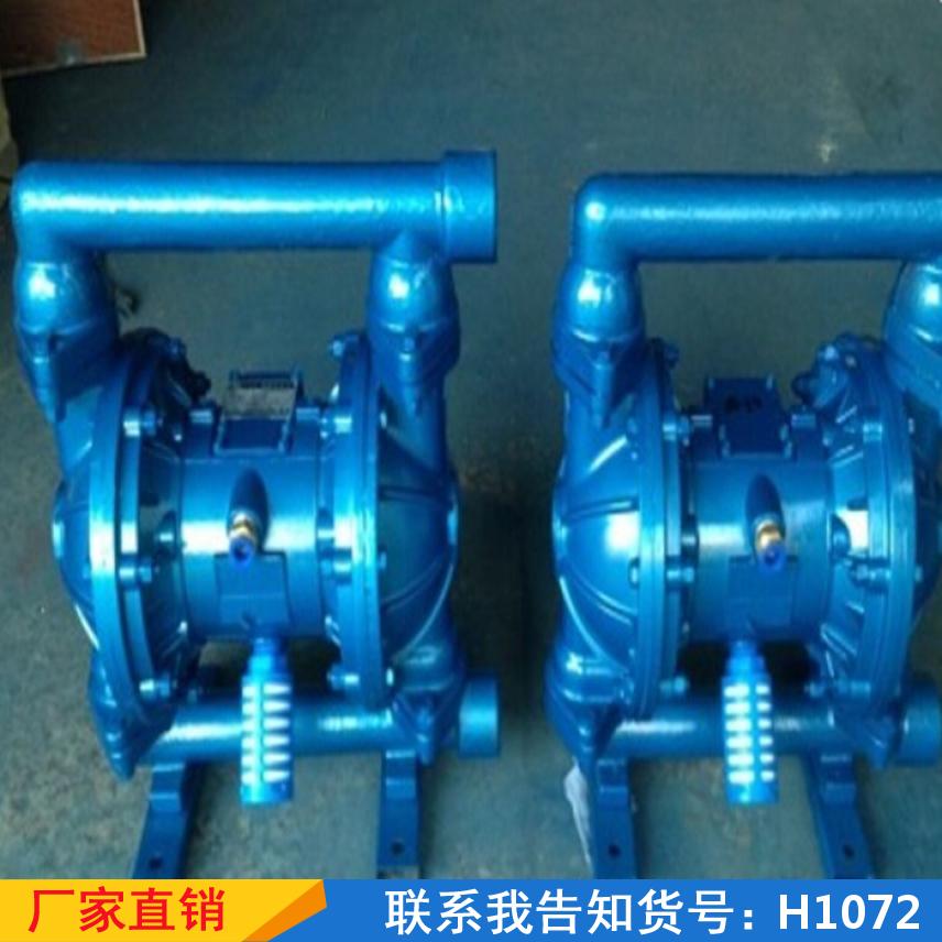 宏胜电动隔膜泵 农用隔膜双泵 洗车增压隔膜离心泵货号H1072