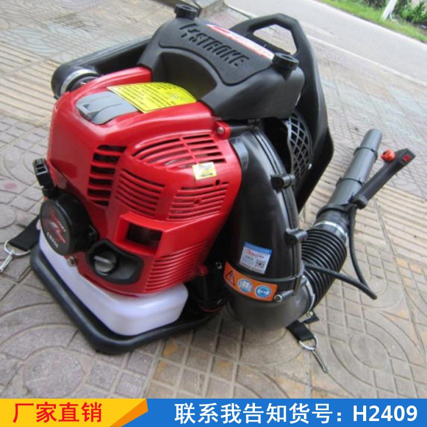 宏胜背负式吹雪机 大棚吹菜灭火机 吹落叶消防吹风机货号H2409