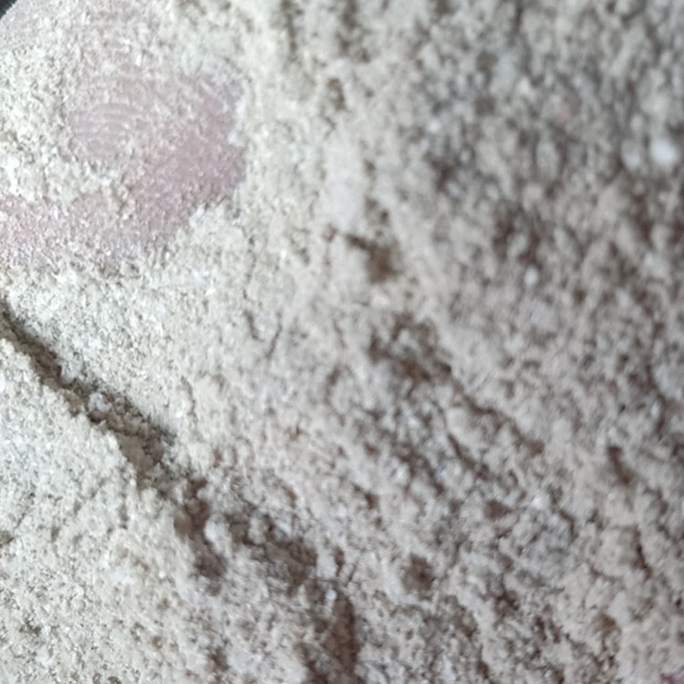 焜昊发货 贝壳粉 牲畜贝壳粉 饲料贝壳粉 可加工定制