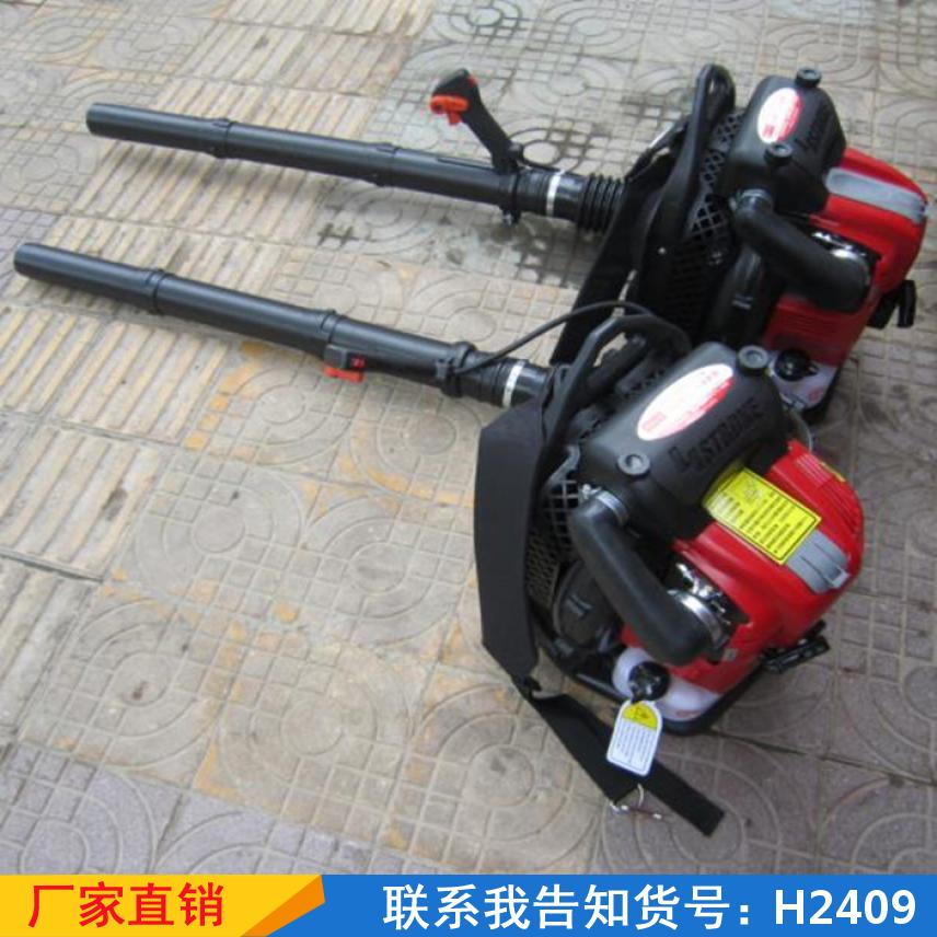 慧采工程吹雪机 吹菜道路灭火机 大鹏树枝吹风机货号H2409