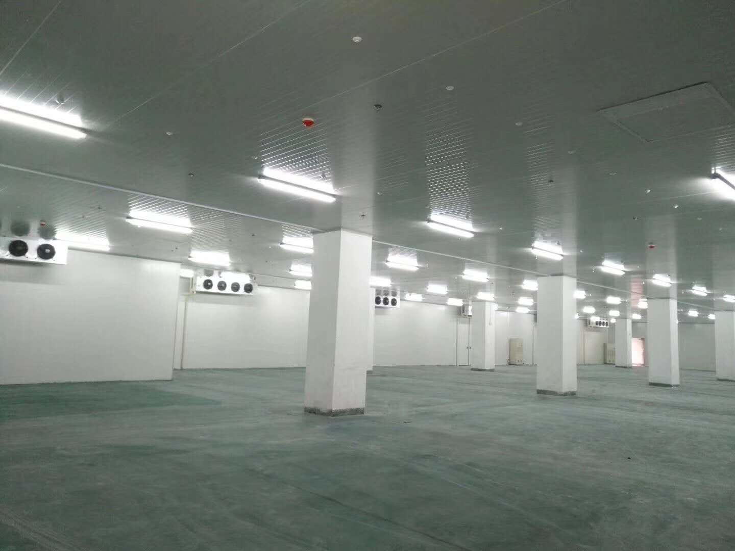 冷藏库设计公司 新冷源冷藏冷库安装生产加工