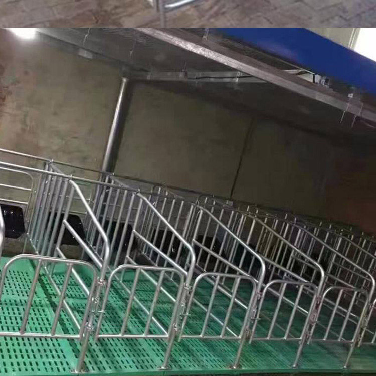 限位栏 复合板母猪定位栏 母猪用定位栏 定位栏 养猪设备