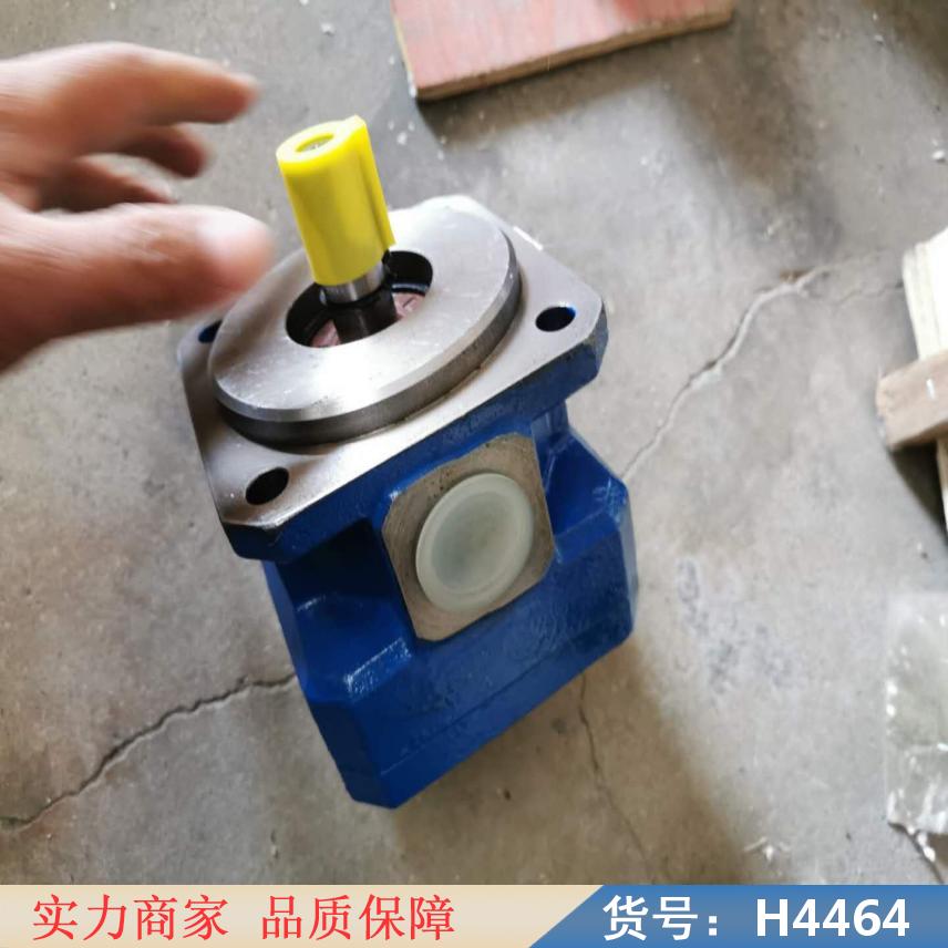 润创圆弧齿轮泵 内齿轮泵 齿轮油泵货号H4464