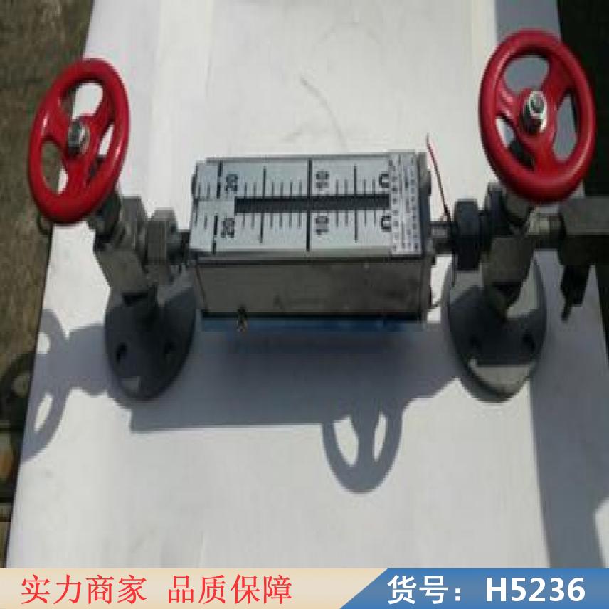 润创液位计 浮子翻板液位计 浮漂液位计货号H5236