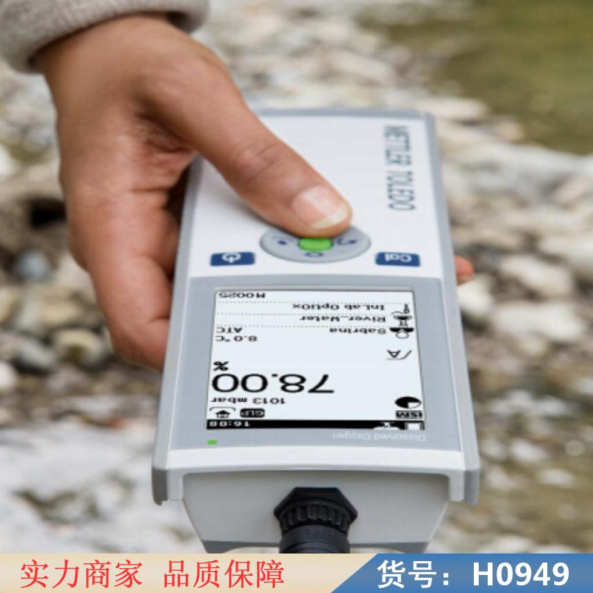 润创荧光溶氧仪 养殖溶氧仪 水/废水处理溶氧仪货号H0949