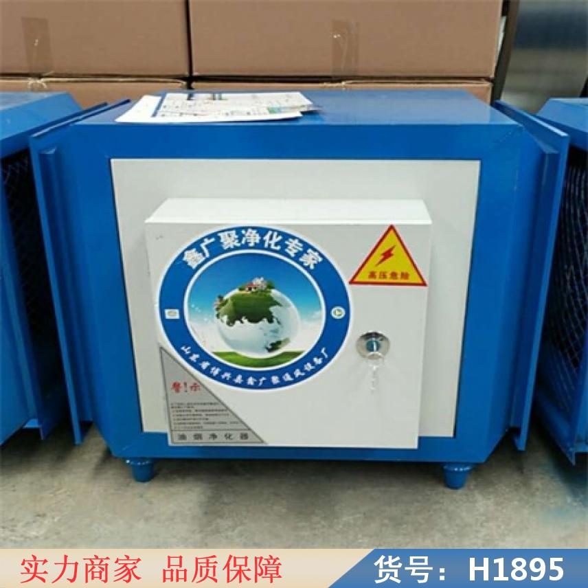 卅眸油烟净化器 饭店油烟净化器 拆装式油烟净化器货号H1895