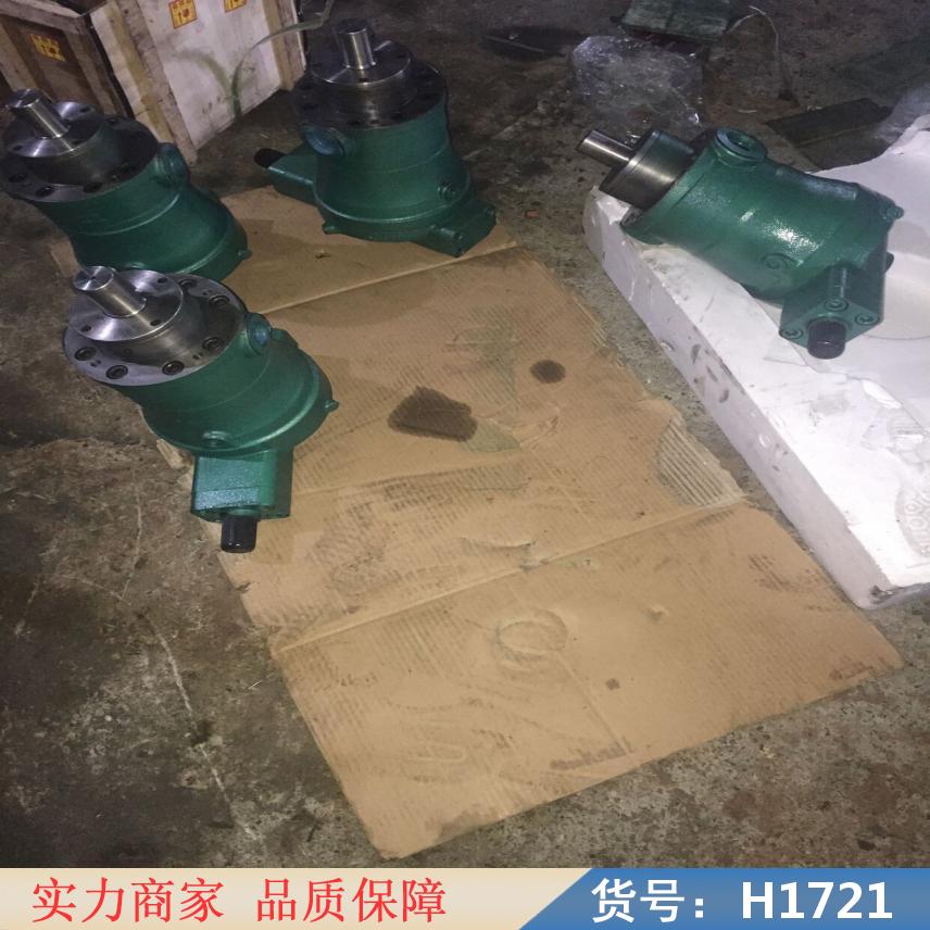 慧采活塞式计量泵 不锈钢柱塞计量泵 大流量柱塞计量泵货号H1721