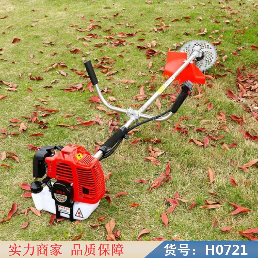 慧采打草机 手推式割草机 背负割草机货号H0721