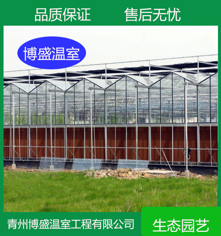 博盛连栋温室大棚 育苗连栋温室 智能玻璃温室大棚承建承接