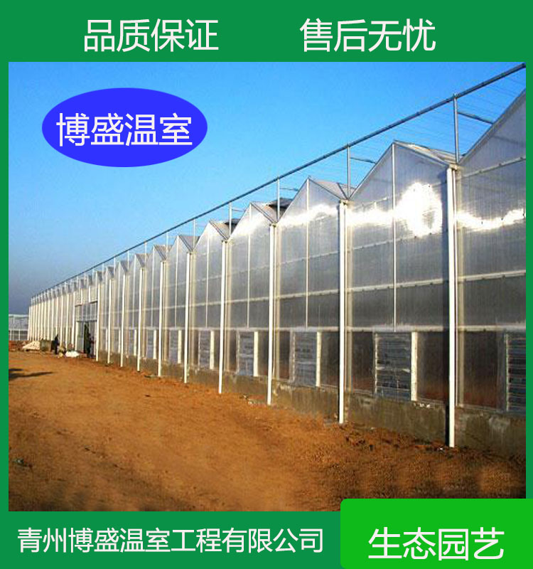 种植大棚 智能阳光板温室 日光温室 阳光板温室大棚建造
