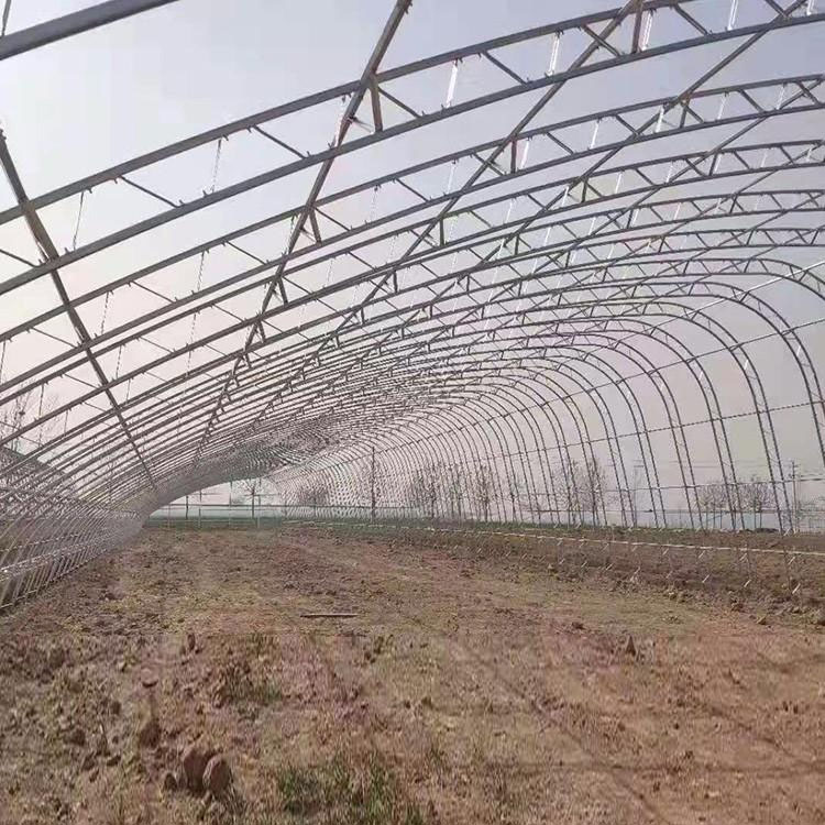 建伟供应 温室大棚 连栋温室大棚 定制连栋大棚 价格优惠