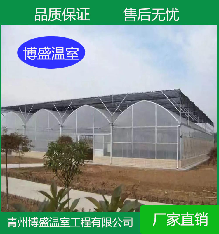 博盛  育苗薄膜温室    连栋薄膜温室   蔬菜种植薄膜温室 承接薄膜温室工程  