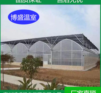 博盛    坚固耐用的连栋薄膜温室 采光性好 达60%-70%