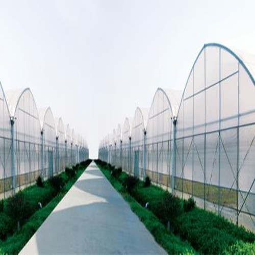 薄膜温室大棚建造 连栋温室 