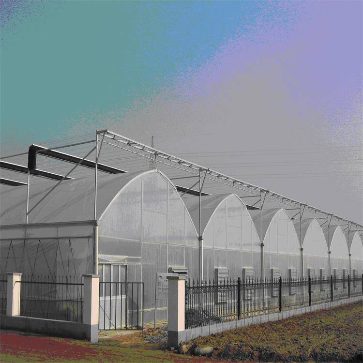 薄膜大棚建造 连栋温室大棚建造 蔬菜薄膜大棚 