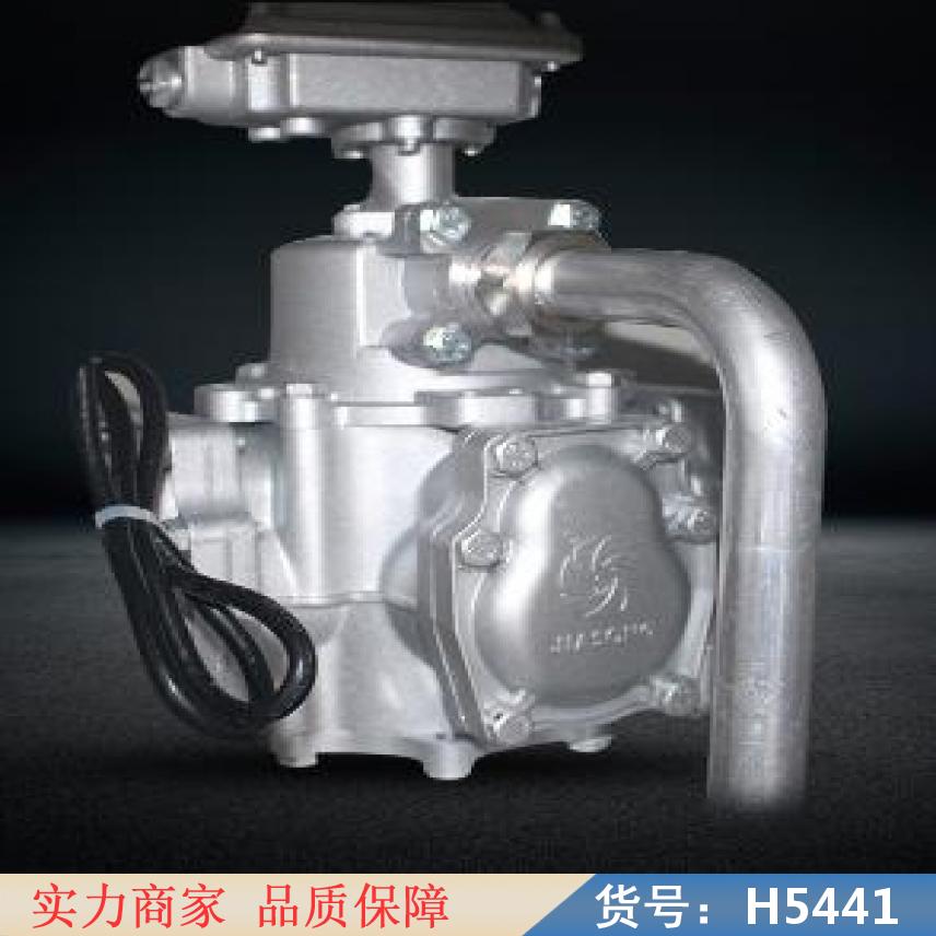 润创便携式加油机 车载防爆加油机 自助加油机货号H5441