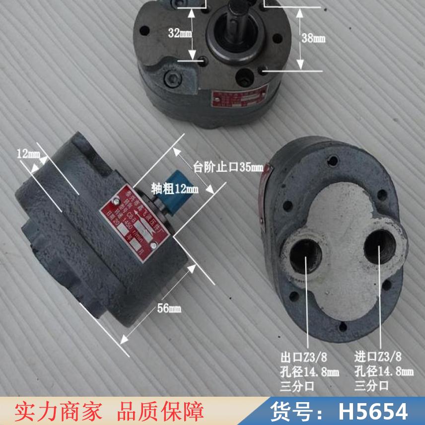 润创渣油泵 不锈钢泵 内啮合齿轮泵货号H5654