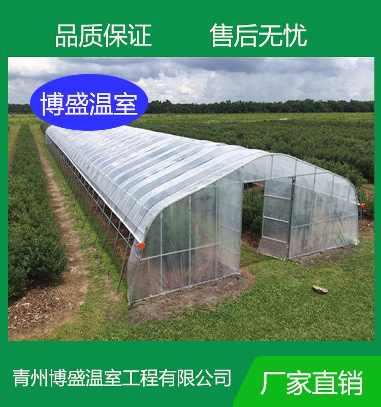 博盛   农业温室单栋大棚 杨桃温室大棚