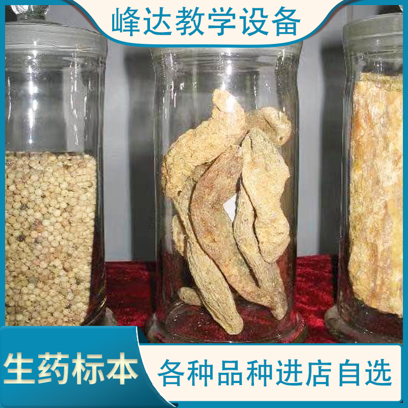 工厂直销   中药标本    中药学教学标本 中药药材标本   专业定做标本 欢迎联系
