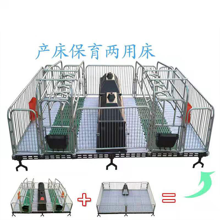 复合板双体母猪产床 分娩仔猪栏 铸铁母猪产床 猪用养猪设备 