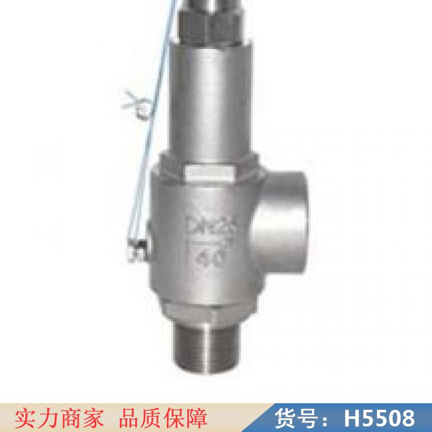 慧采微启式安全阀 高压安全阀 爆破片安全阀货号H5508